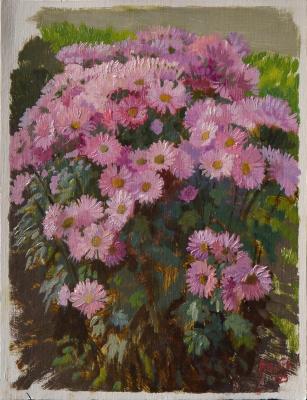 ����������. Chrysanthemums