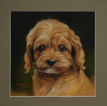 ������� ������