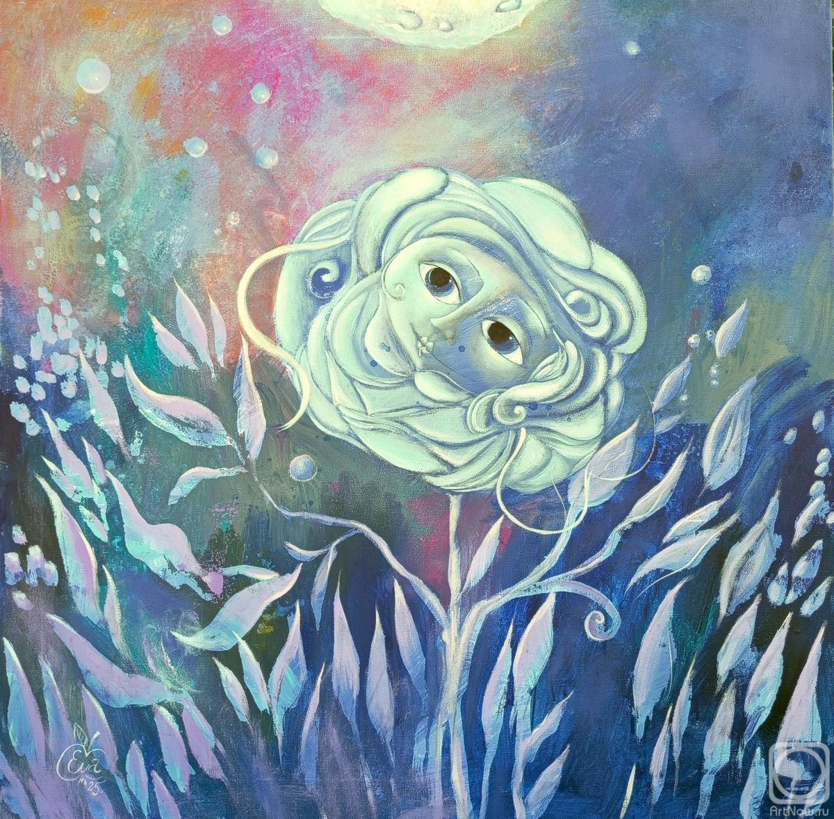 �������. �������� ��� (�����). Night Black Rose