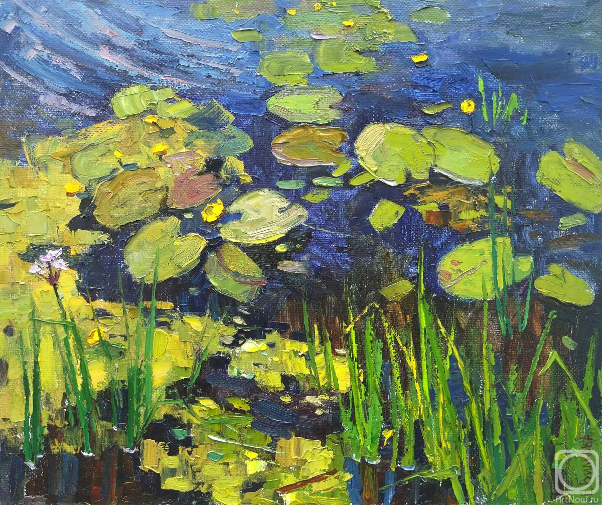 ������� ������ �� ������. ������� �����. �������� �� ����