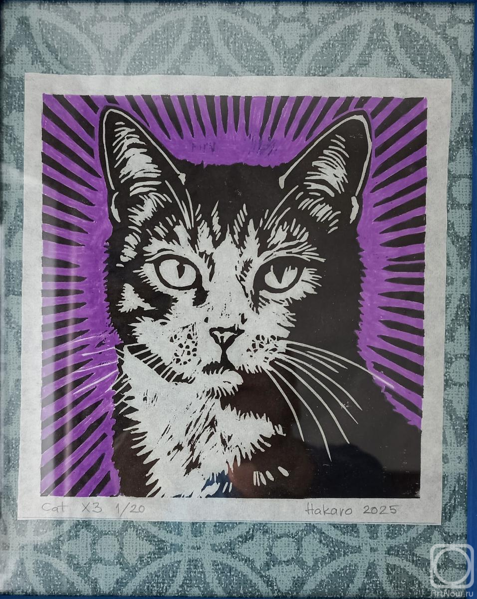 �������. ������ �������. ���