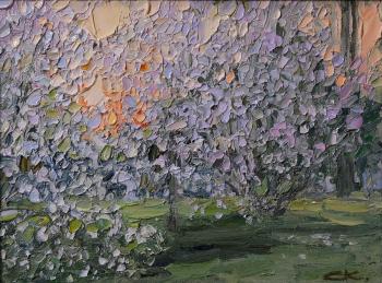 ������� ���. ������ ������