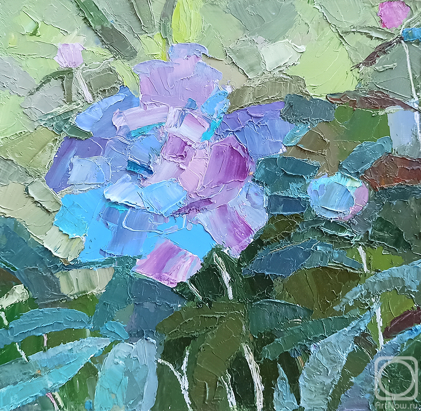 �������. �������� �����. ���� ��������