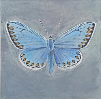 ���������. �������� �����