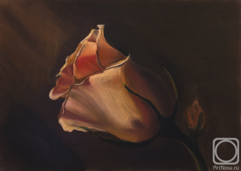 �������. ���������� �������. �����