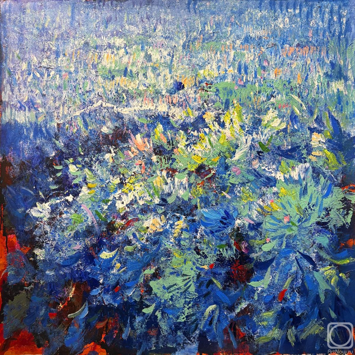 Vevers Christina. Coral reef treasures