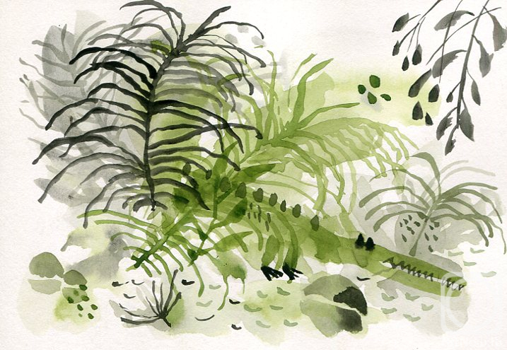 �������. ����� ������. �������� � ��������