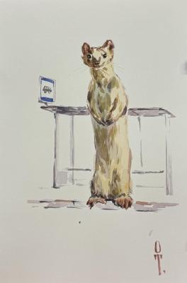 ��������. ��������� ����