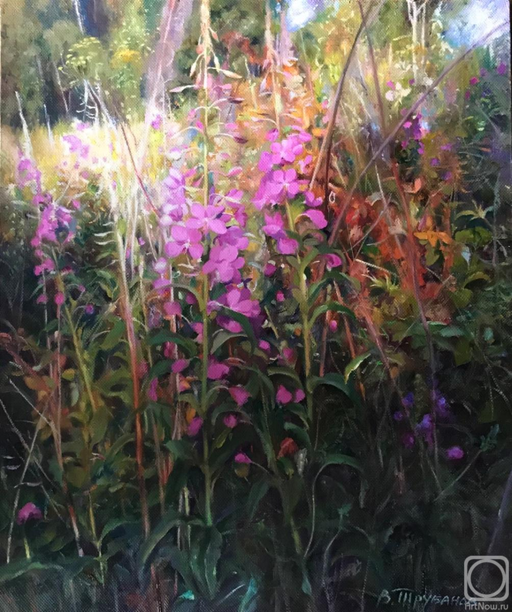 ������� ������ �� ������. �������� �������. ����-���