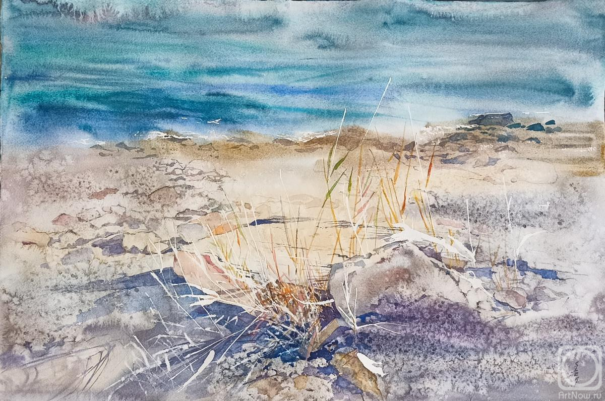 Levina Svetlana. The seashore
