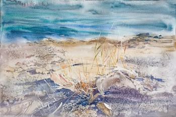The seashore. Levina Svetlana
