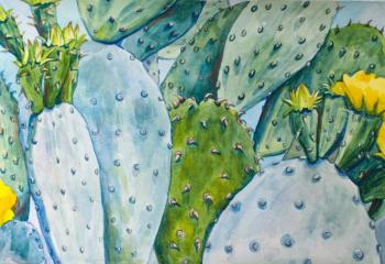 Cactuses. Chernyshova Evgeniya