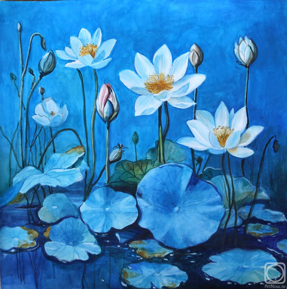 �������. ��������� �������. ������