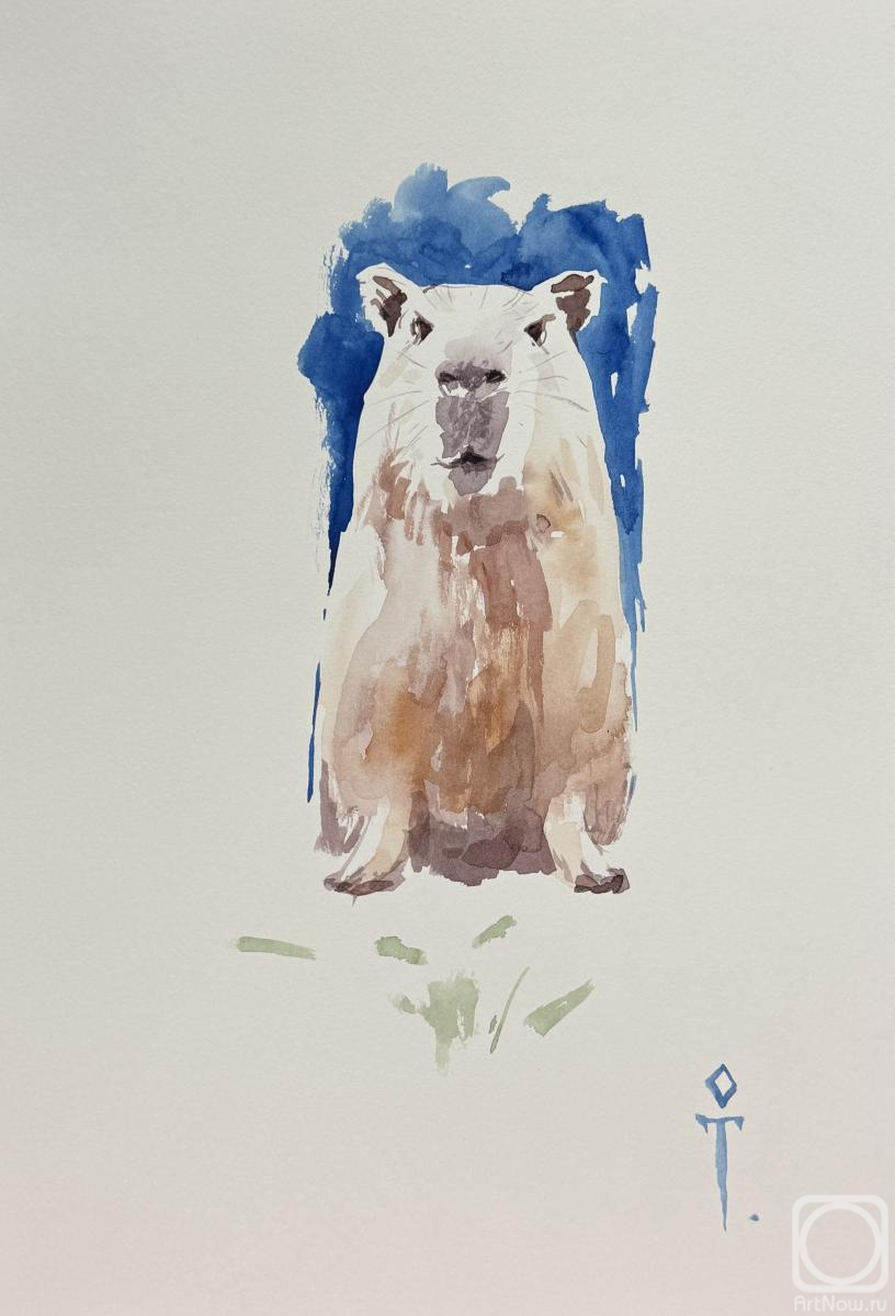 �������. ��������� ����. ��������