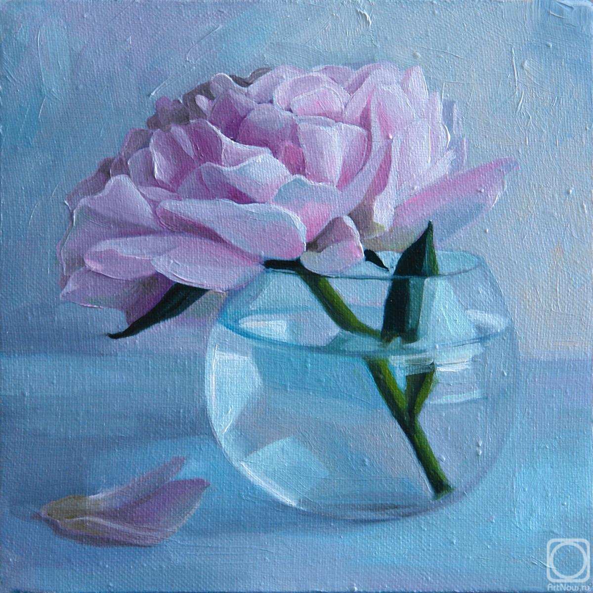 ������� ������ �� ������. ���������� ���������. ������� ���� � ����