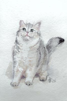 ������� ��������