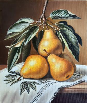 ������ ����� (��������). �������� �������