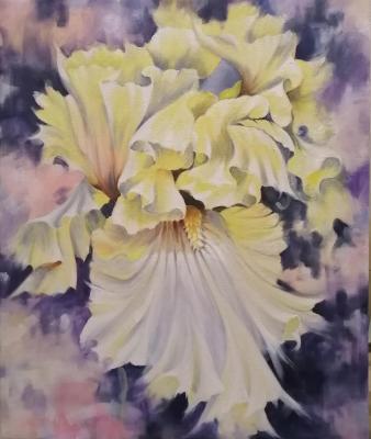 ���� ������. ��������� �����