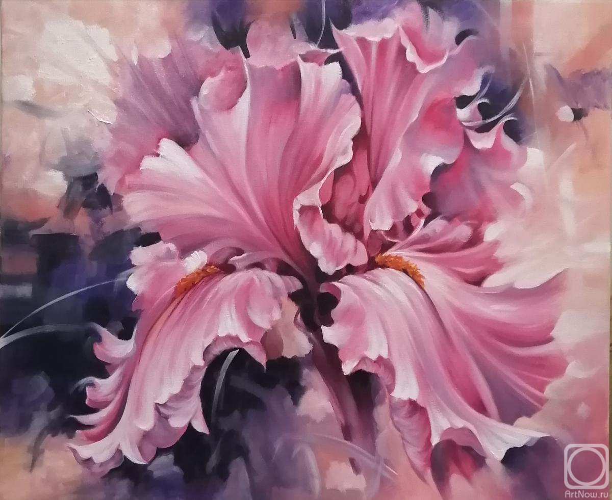 ������� ������ �� ������. ��������� �����. ���� ������� �� ����������