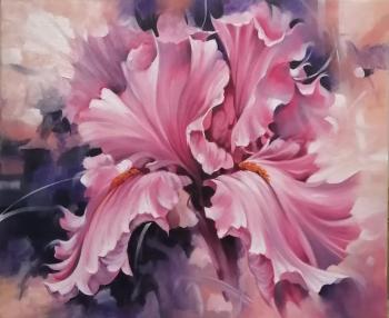 ���� ������� �� ����������. ��������� �����