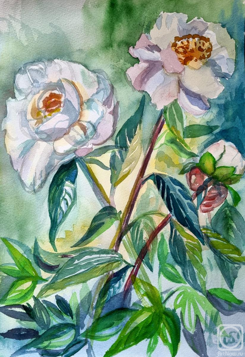 �������. ��������� �����. �������� ��������