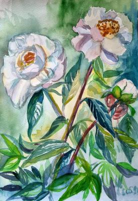 �������� �������� (������������). ��������� �����