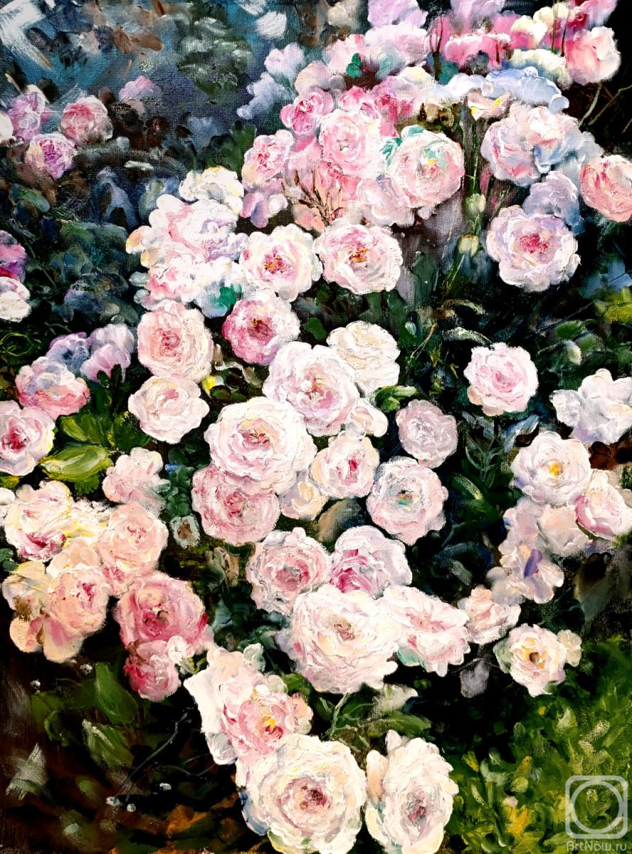 ������� ������ �� ������. �������� ������. ��������