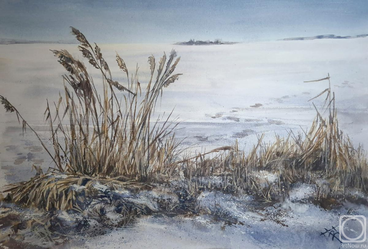 �������. �������� �������. ������ �������