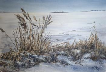 ������ �������