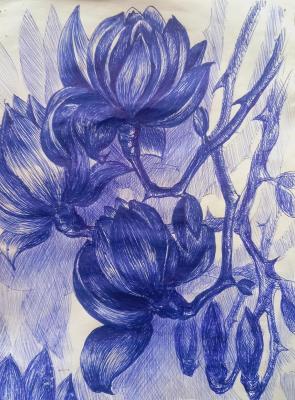 ��������