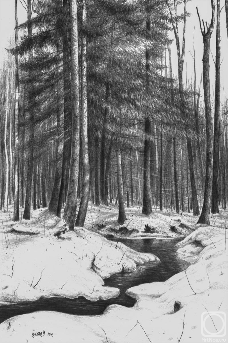 Tsuhlo Vladimir. Lush spruce by the stream. From the series �Winter Forest�