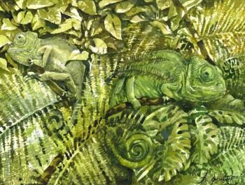 ������� �����������