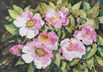 ����� ��������. �������� ������