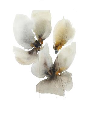 ������� �����. ����������� �������