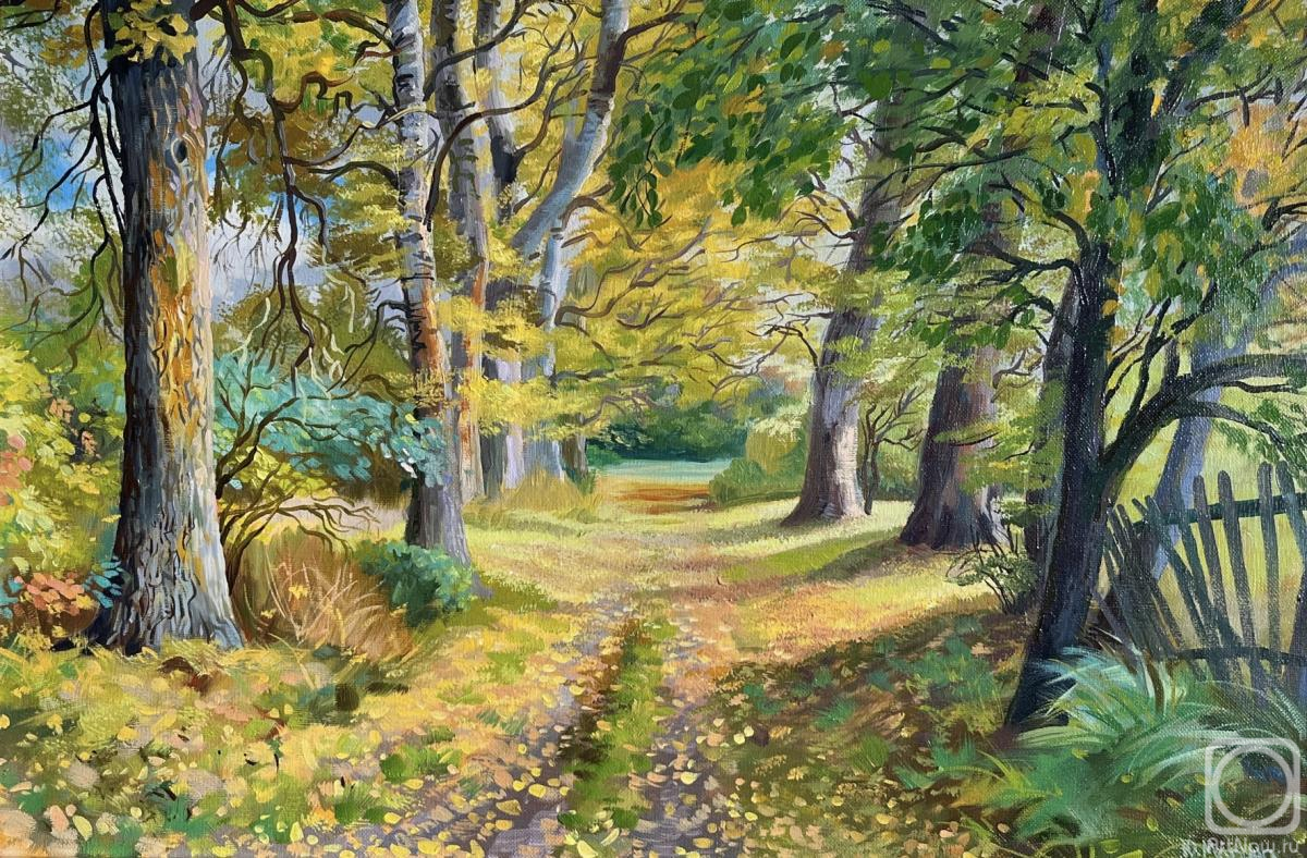 ������� ������ �� ������. ������ ����. ���������� �����