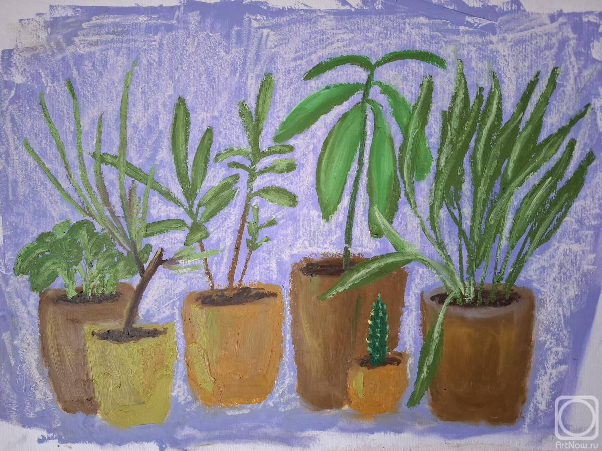 �������. �������� ���������. ������ � ����������