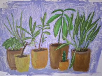 Картина «Горшки с растениями»