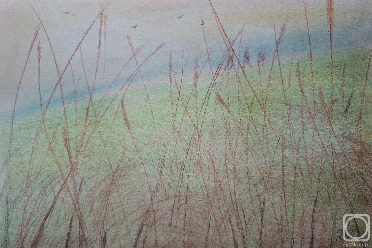 �������. �������� ���������. �������