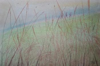 ������� ��������