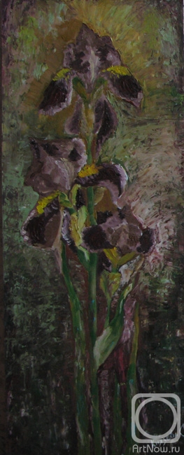 �������. ������� ��������. ���������� �����