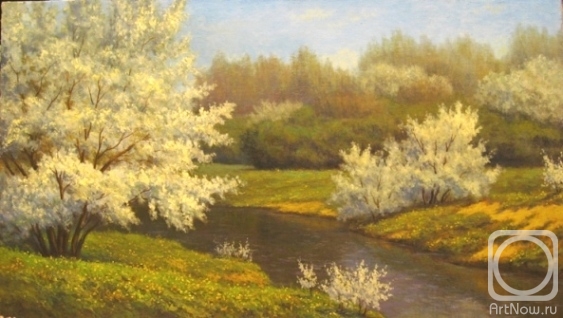 Bravkov Vladimir. Spring