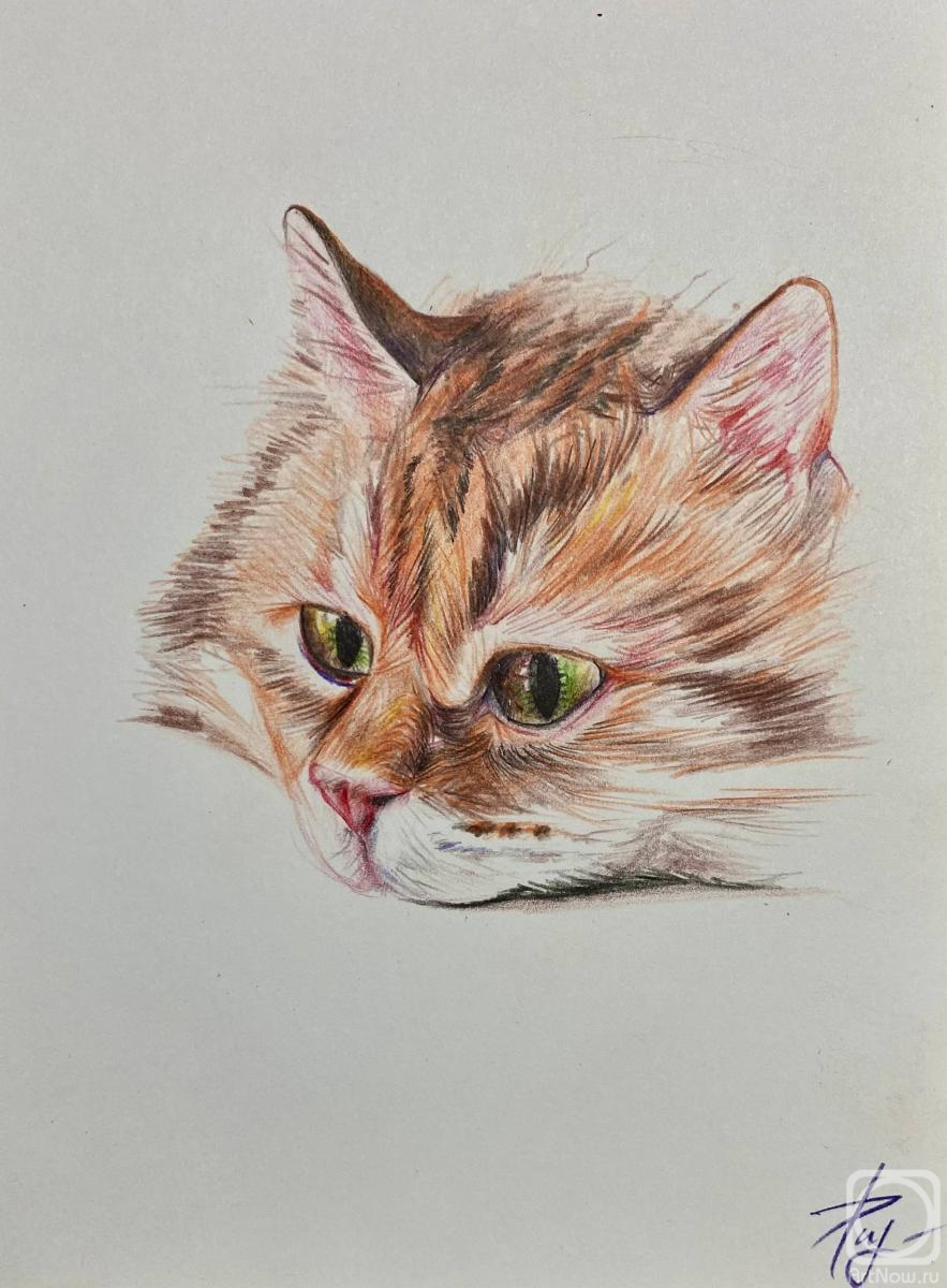 �������. ���������� ������. ����� ���