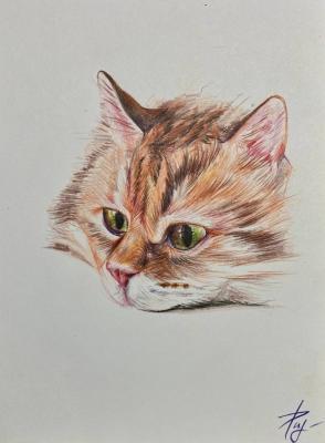 ����� ���. ���������� ������