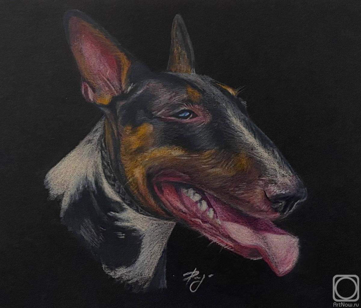 �������. ���������� ������. ����������