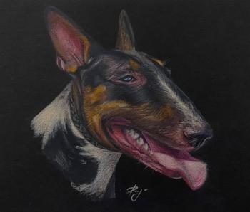 ����������. ���������� ������