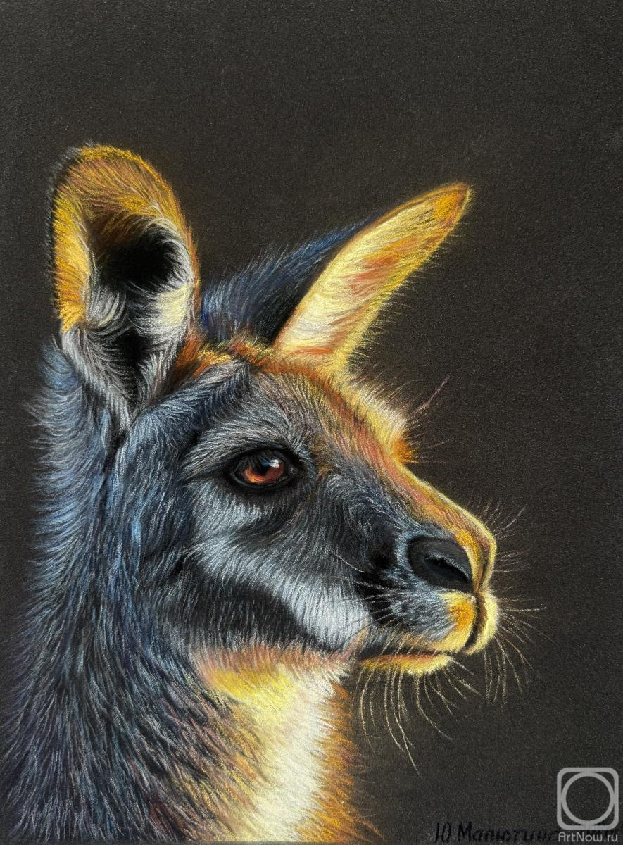 Malyutina Yuliya. Kangaroo