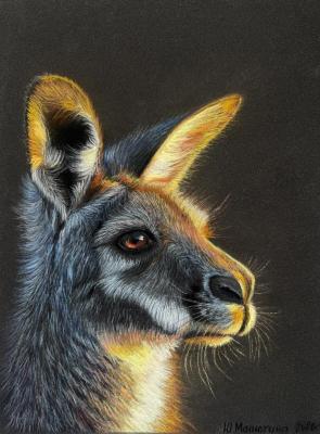 Kangaroo (Wildlife Art). Malyutina Yuliya