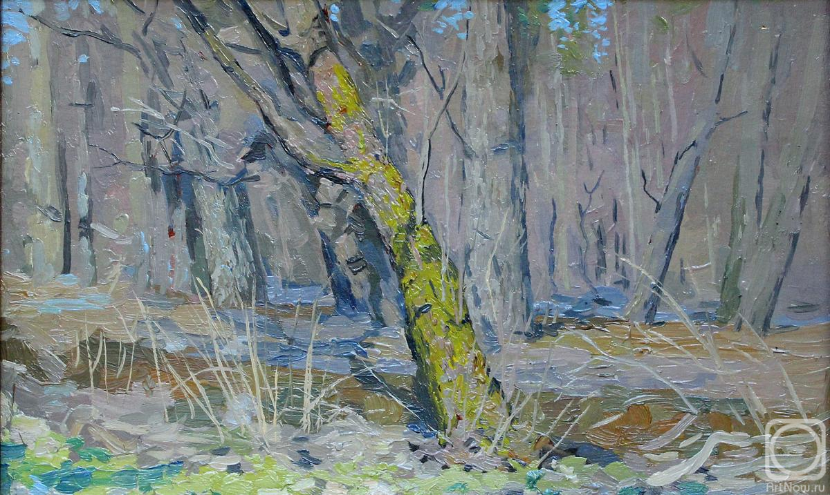 �������. ����� ����. ������ �����