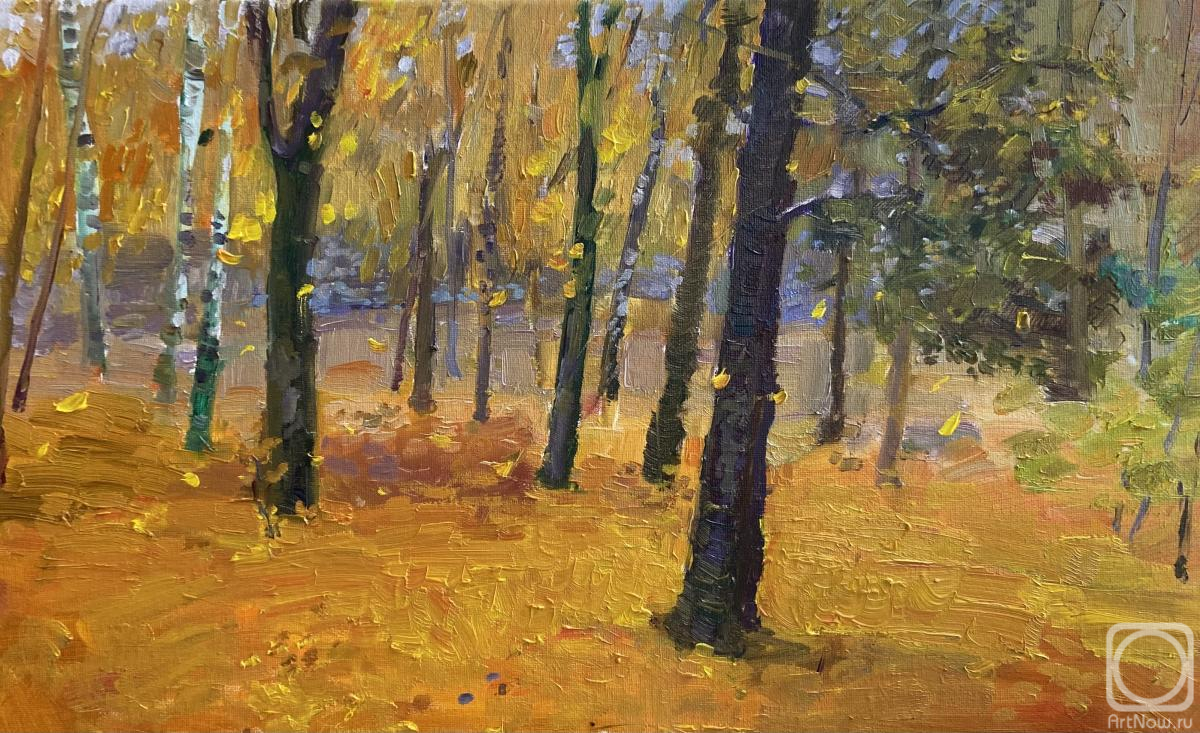 ������� ������ �� ������. ��������� ���������. ������� ������