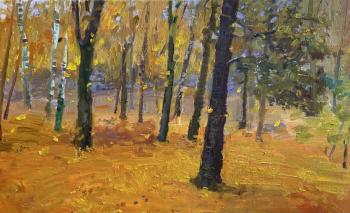 Autumn landscape. Golubtsova Anastasiya